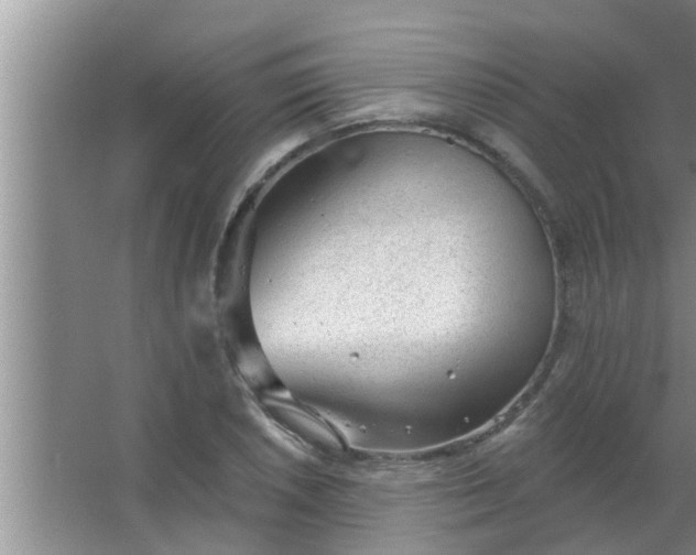 X0000063491026200602031946