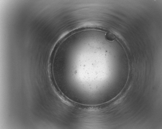 X0000063491029200602031946