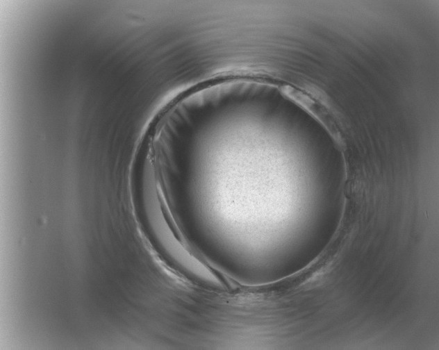 X0000063491030200602031946