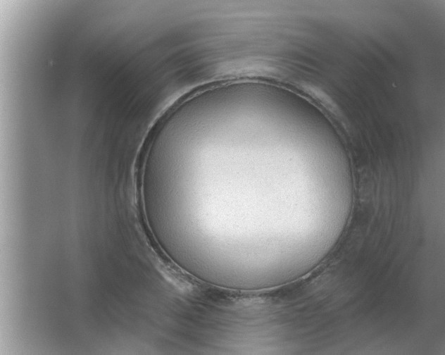 X0000063491031200602031946