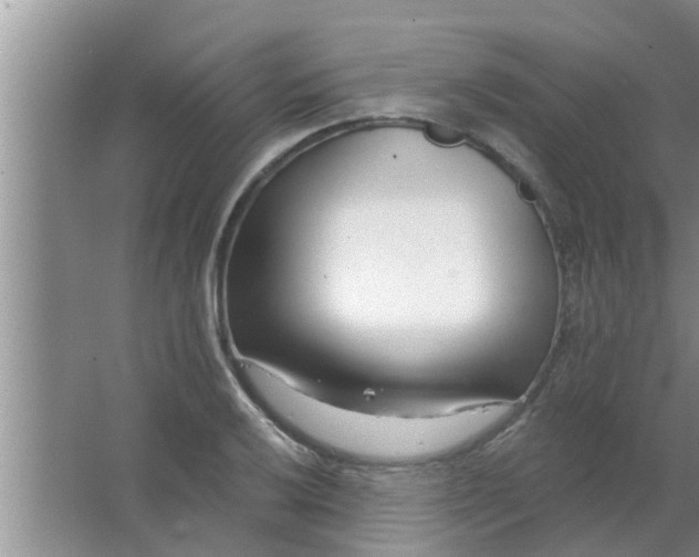 X0000063491032200602031946