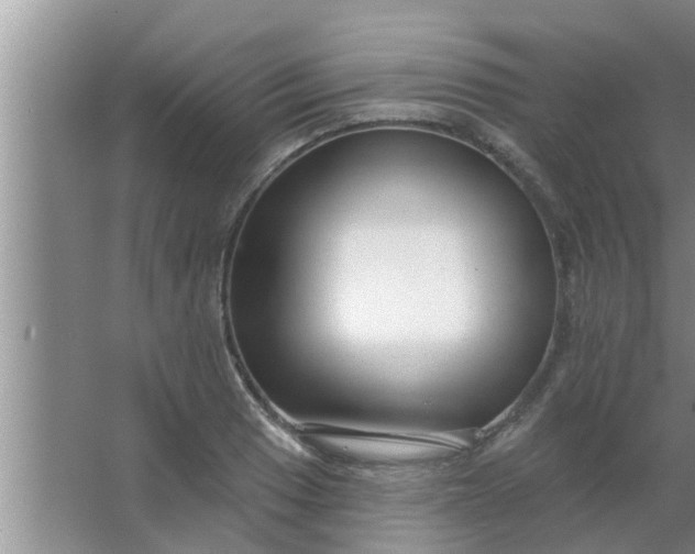 X0000063491033200602031946