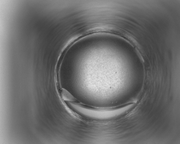 X0000063491034200602031946