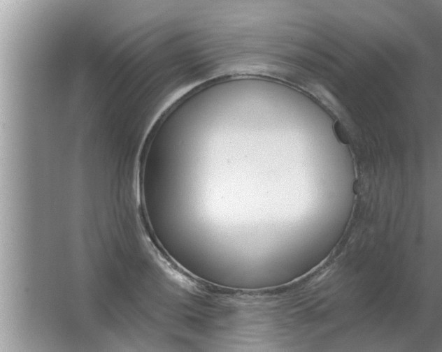 X0000063491036200602031946