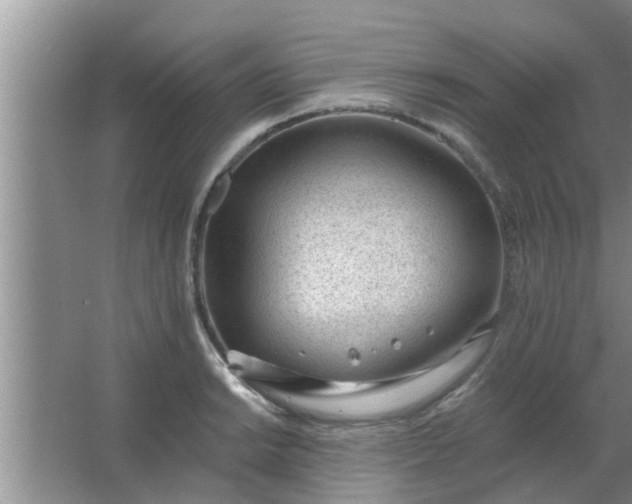 X0000063491038200602031946