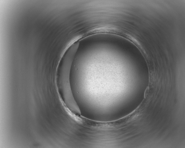 X0000063491042200602031946