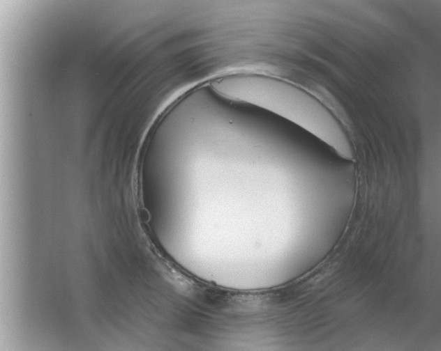 X0000063491044200602031946