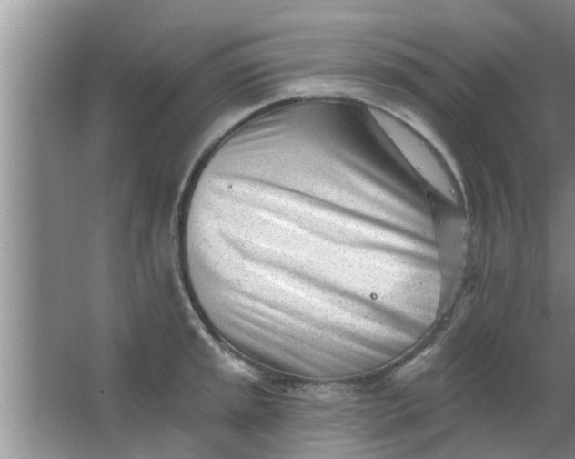 X0000063491045200602031946