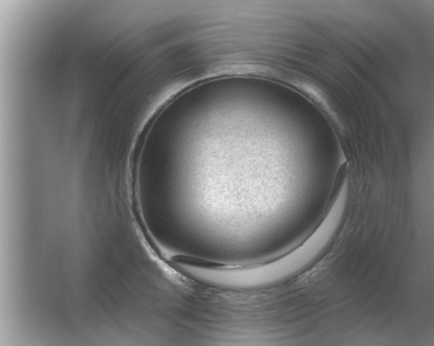 X0000063491046200602031946