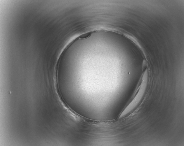 X0000063491048200602031946