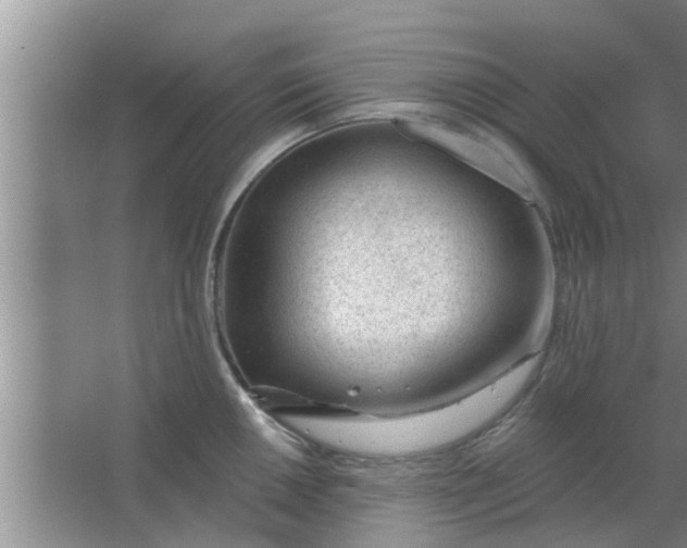 X0000063491050200602031946