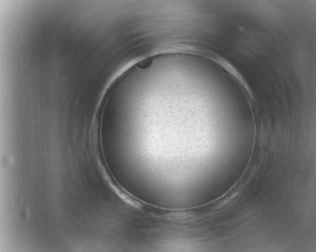 X0000063491053200602031946