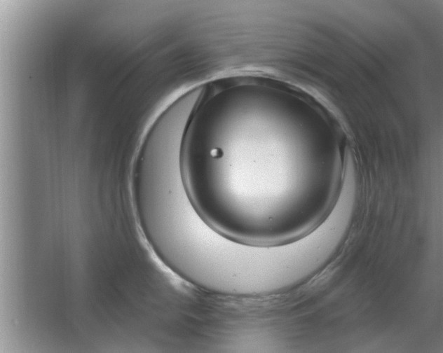 X0000063491054200602031946