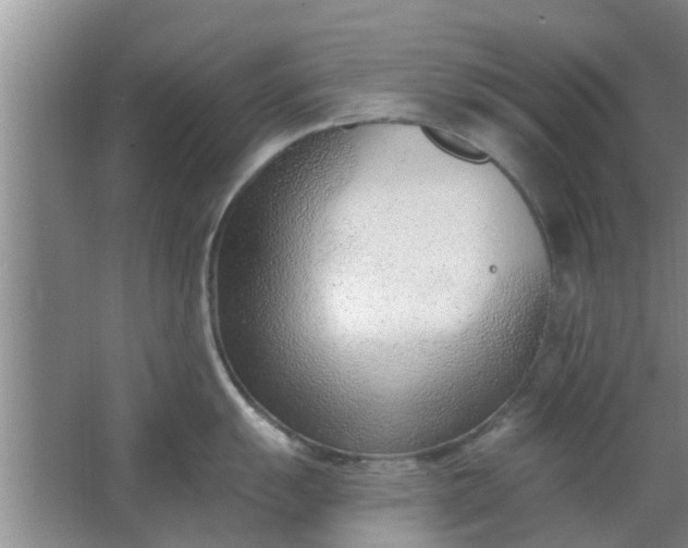 X0000063491055200602031946