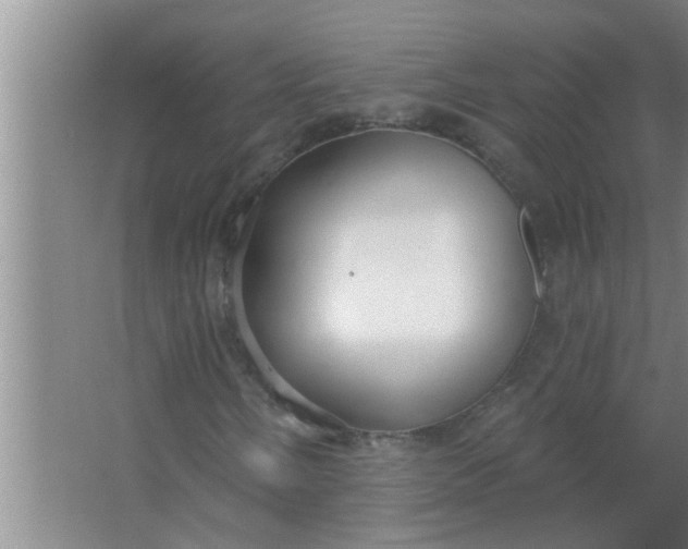 X0000063491058200602031946