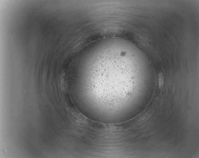 X0000063491059200602031946