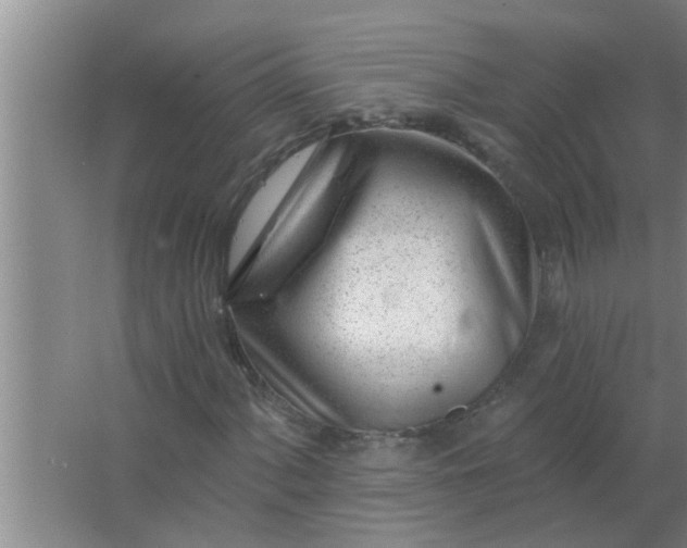 X0000063491060200602031946