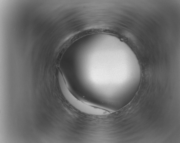 X0000063491064200602031946