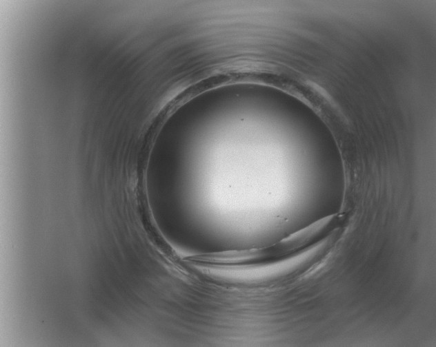 X0000063491065200602031946