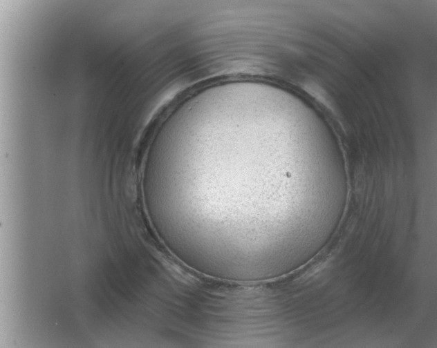 X0000063491067200602031945