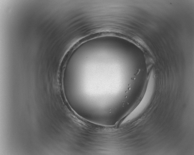 X0000063491068200602031945