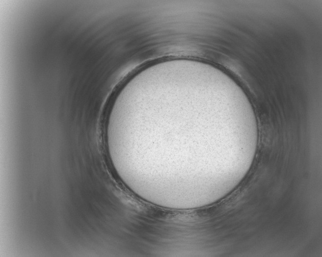 X0000063491074200602031945