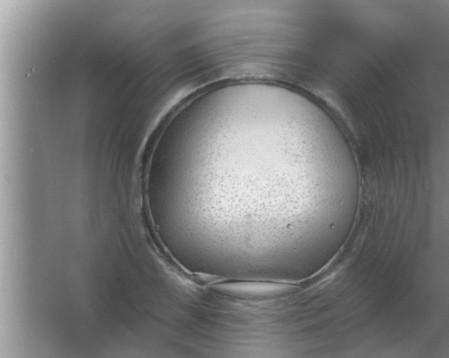 X0000063491075200602031945