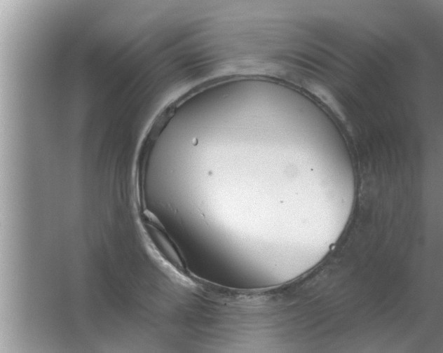 X0000063491080200602031945