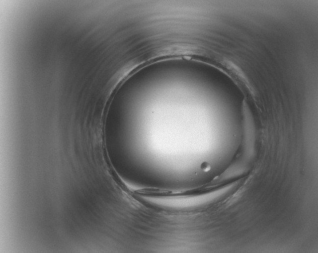 X0000063491081200602031945