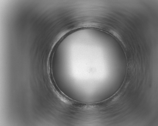 X0000063491082200602031945