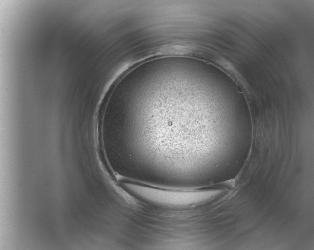 X0000063491083200602031945