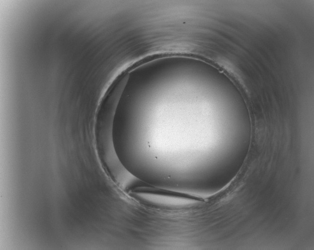 X0000063491085200602031945