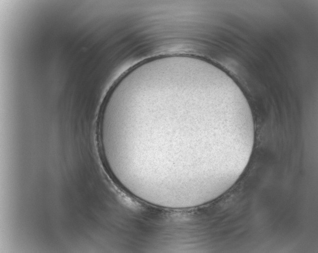 X0000063491086200602031945