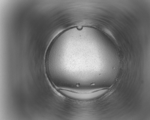 X0000063491087200602031945