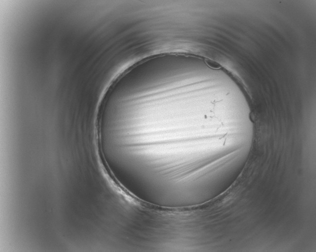 X0000063491088200602031945