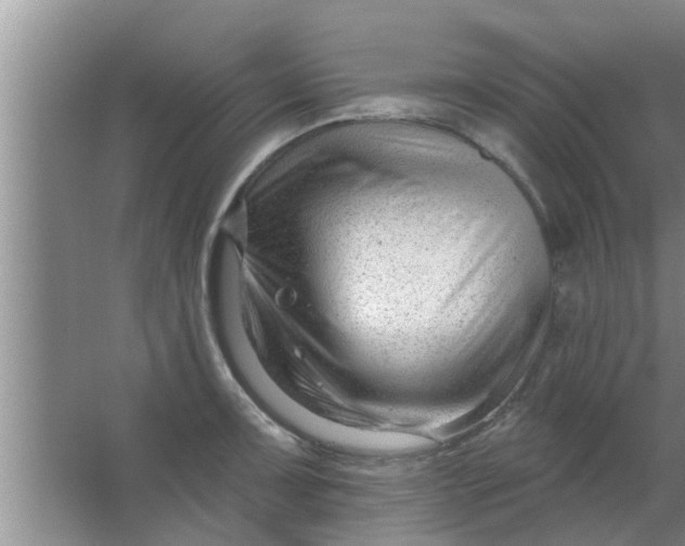 X0000063491091200602031945