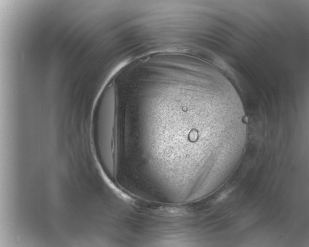 X0000063491095200602031945