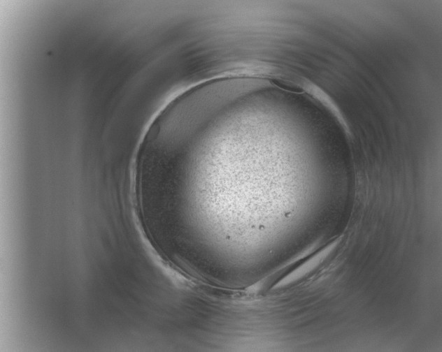 X0000063491099200602031945