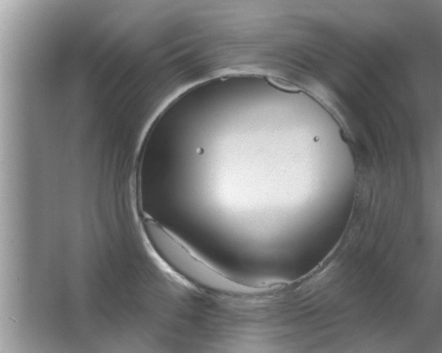 X0000063491100200602031945