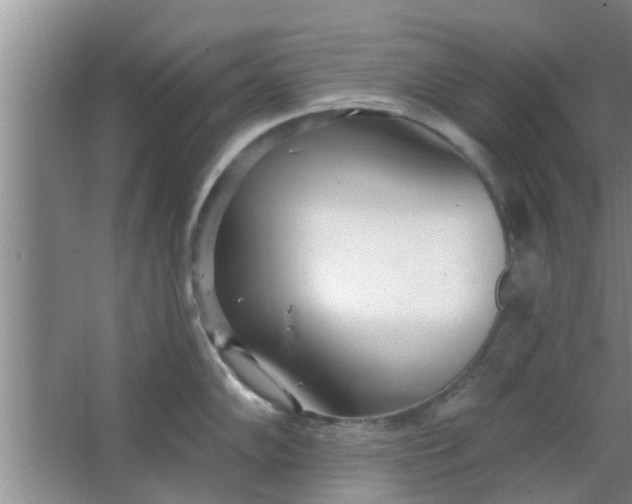 X0000063491102200602031945