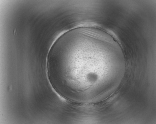 X0000063491103200602031945