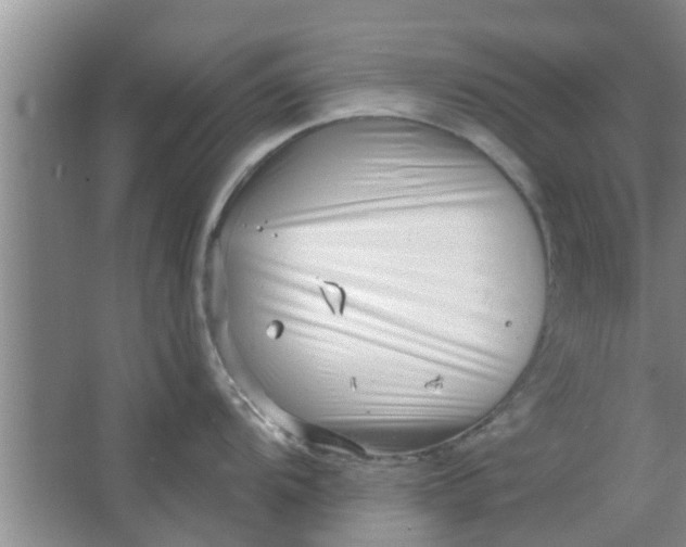 X0000063491104200602031945