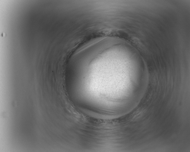 X0000063491105200602031944