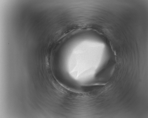 X0000063491106200602031944