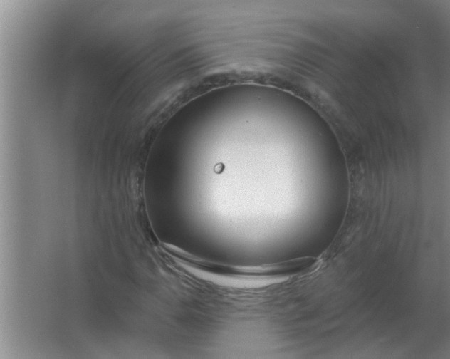 X0000063491110200602031944