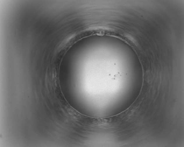 X0000063491111200602031944