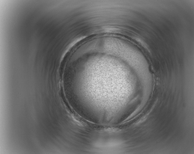 X0000063491117200602031944