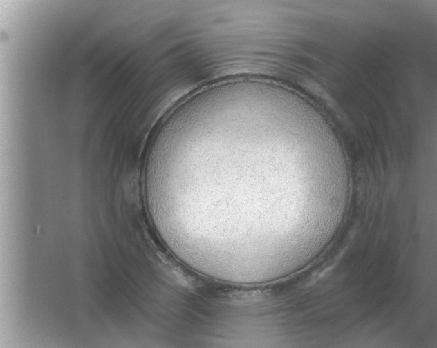 X0000063491121200602031944