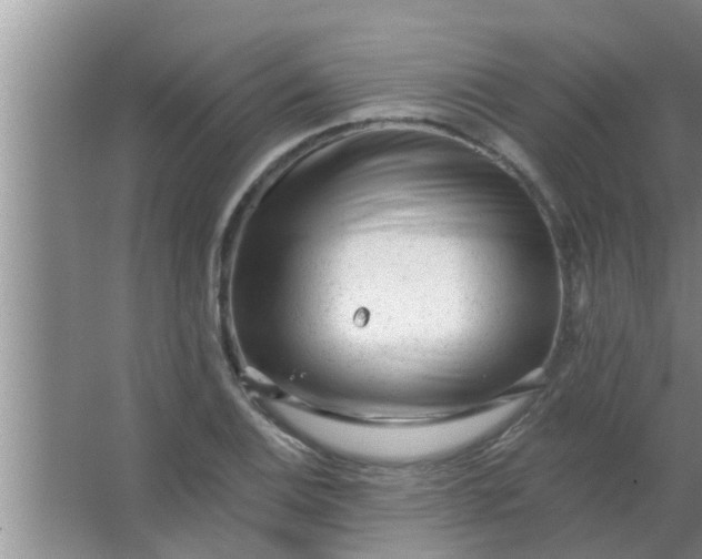 X0000063491124200602031944