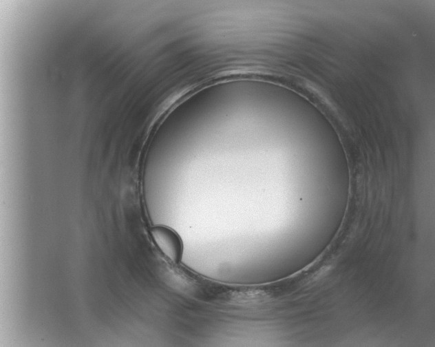 X0000063491129200602031944